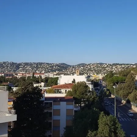 Il Leone Di Cecilia Antibes