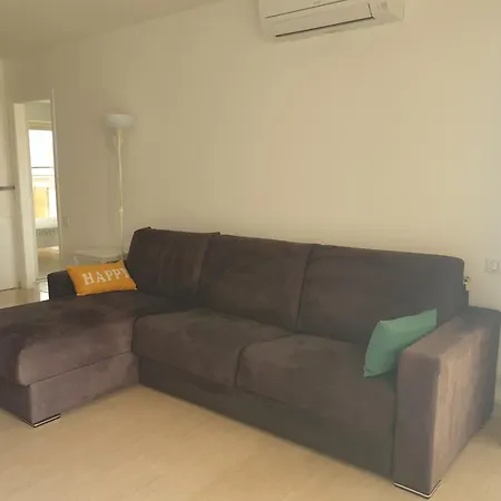 Il Leone Di Cecilia *