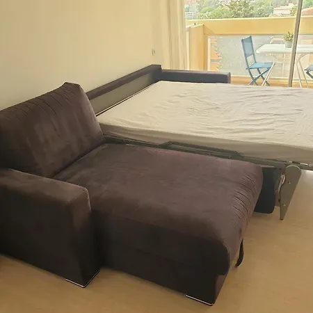 Il Leone Di Cecilia * Antibes