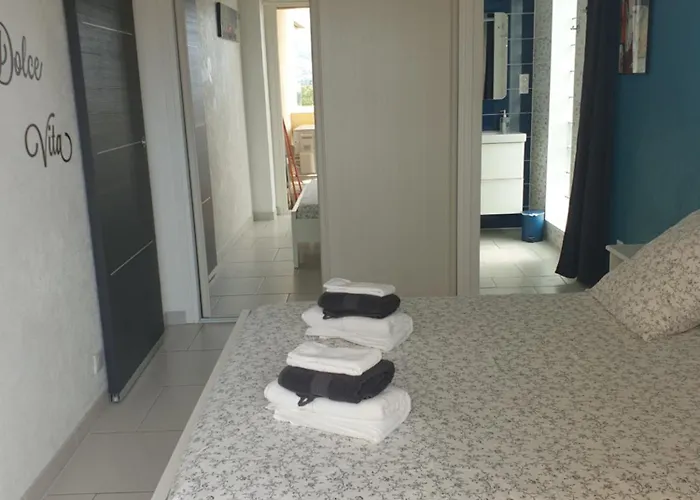 Il Leone Di Cecilia *