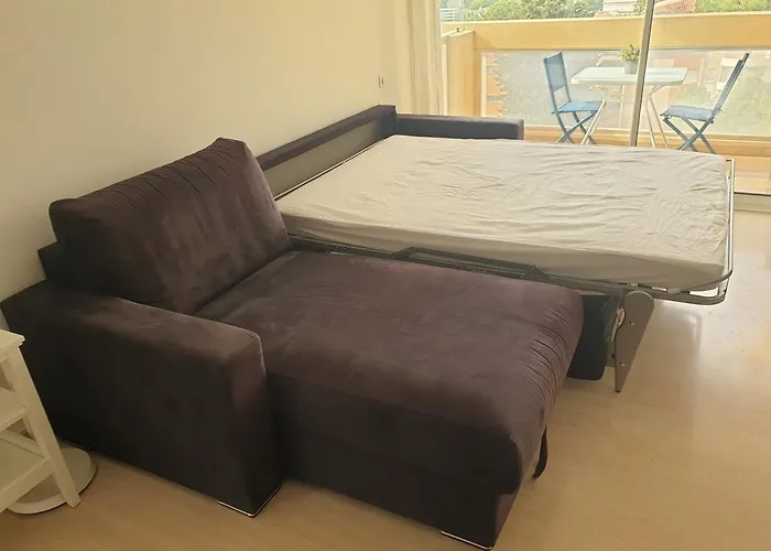 Il Leone Di Cecilia * Antibes